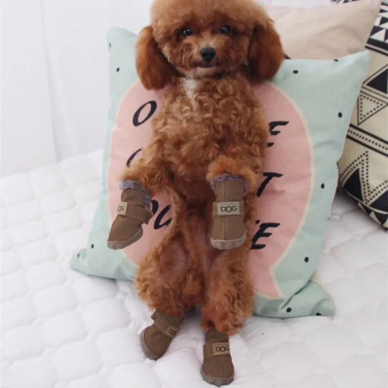 It's Snow Time Pet Booties