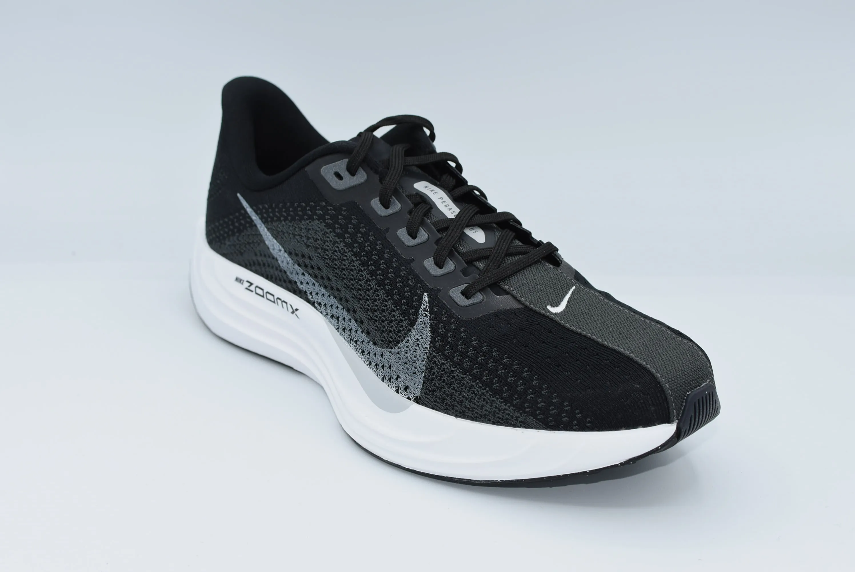 Nike Pegasus Plus Men