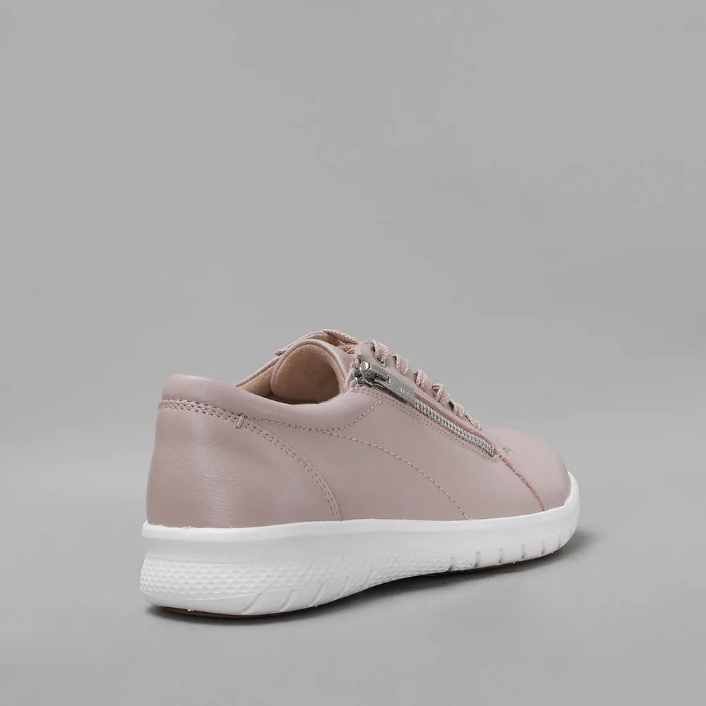 ZIERA - SOLAR XF - SEASHELL